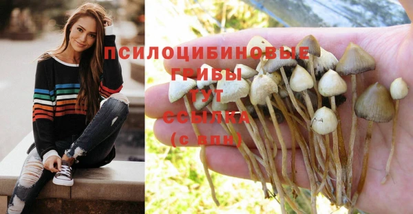 гашиш Коряжма