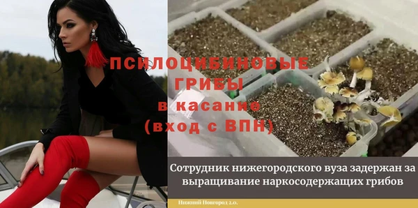 a pvp Алексин