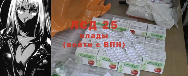 PSILOCYBIN Корсаков